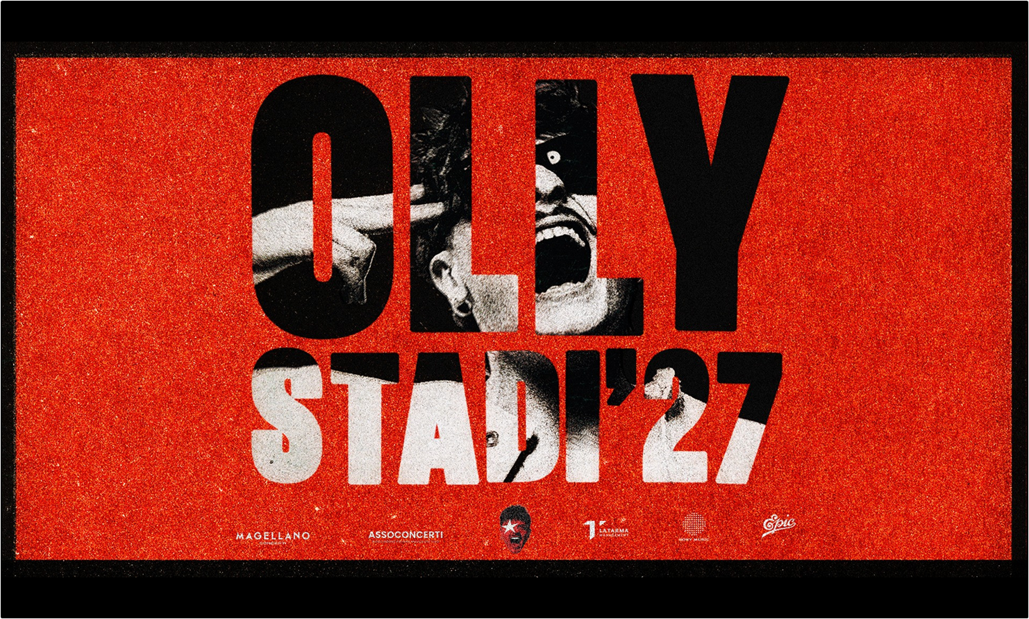 Olly - Padova