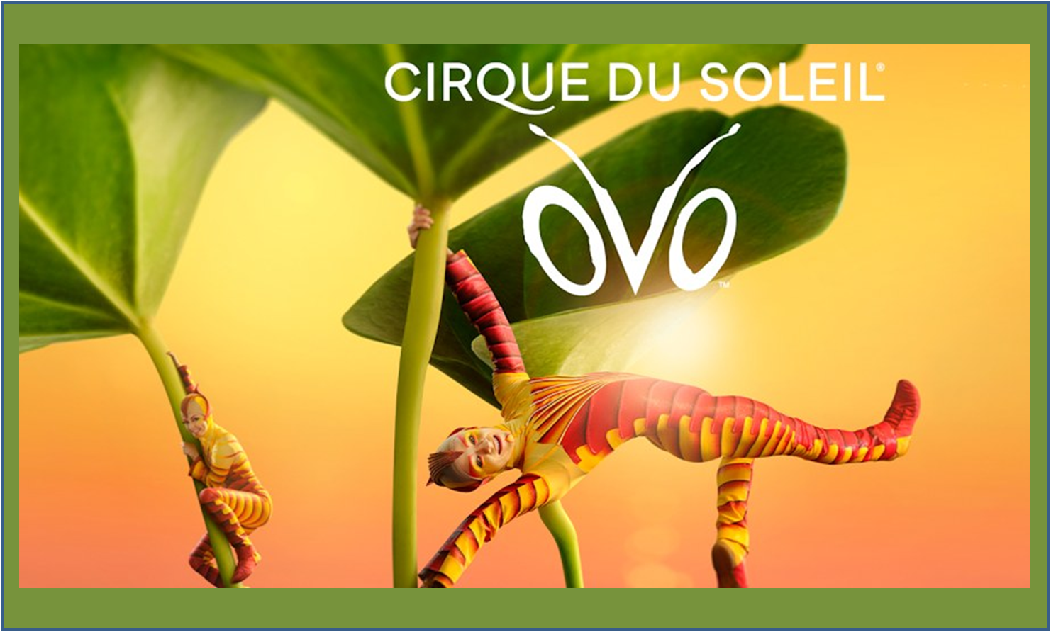 OVO - Cirque du Soleil - Bergamo