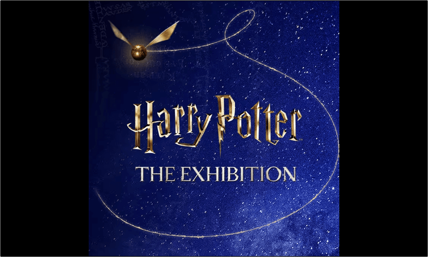 Harry Potter: The Exhibition - Milano