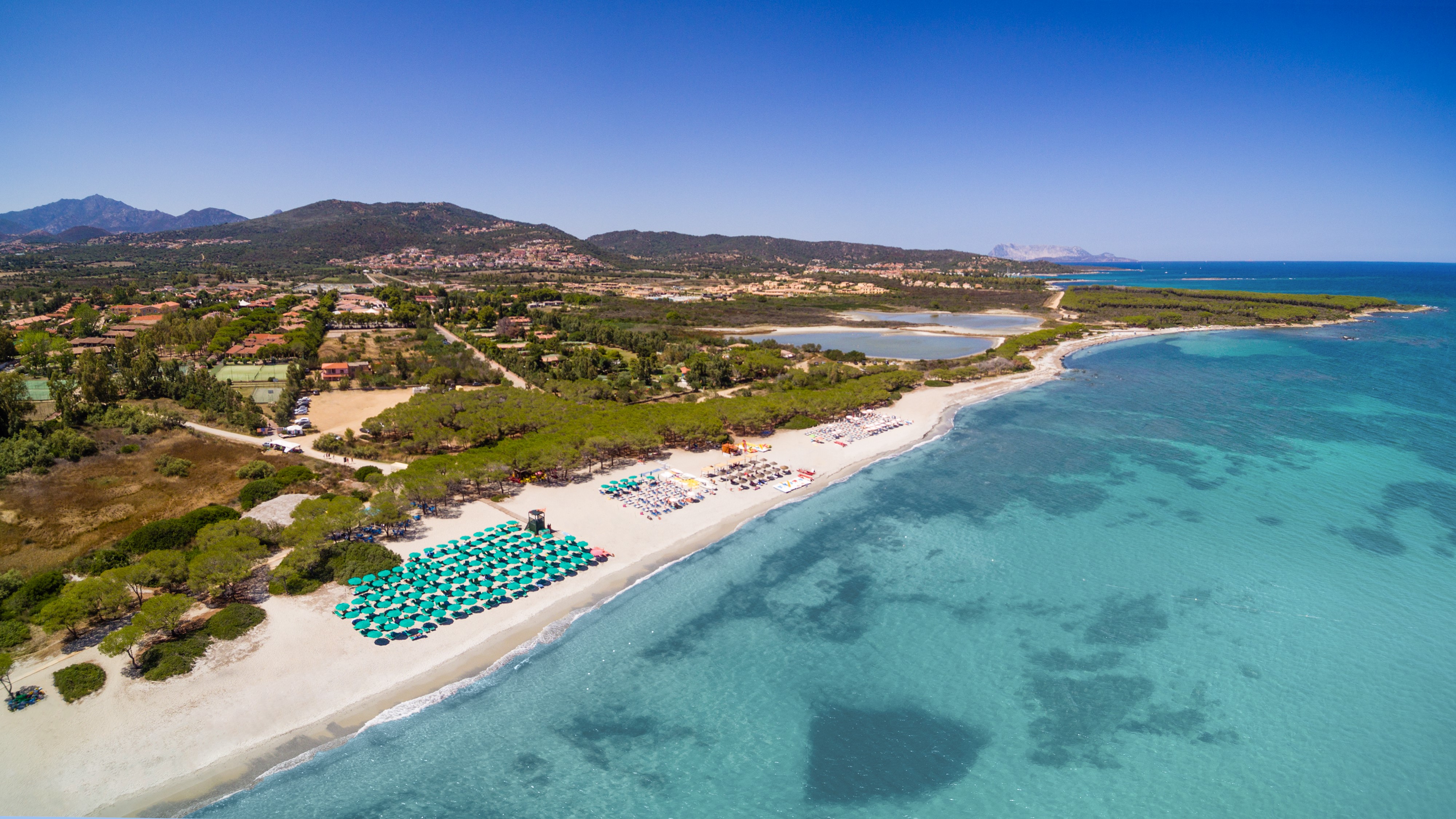 Nicolaus Club Li Cucutti [NC]