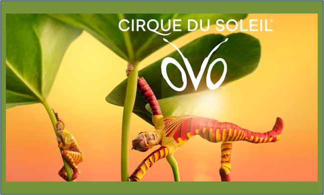 OVO - Cirque du Soleil - Roma