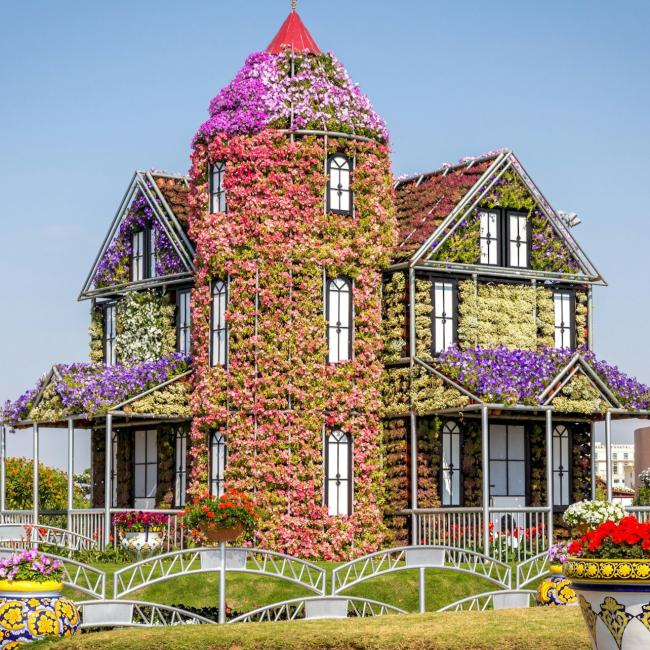 Immagine cover di Dubai Miracle Garden: Biglietto d'ingresso