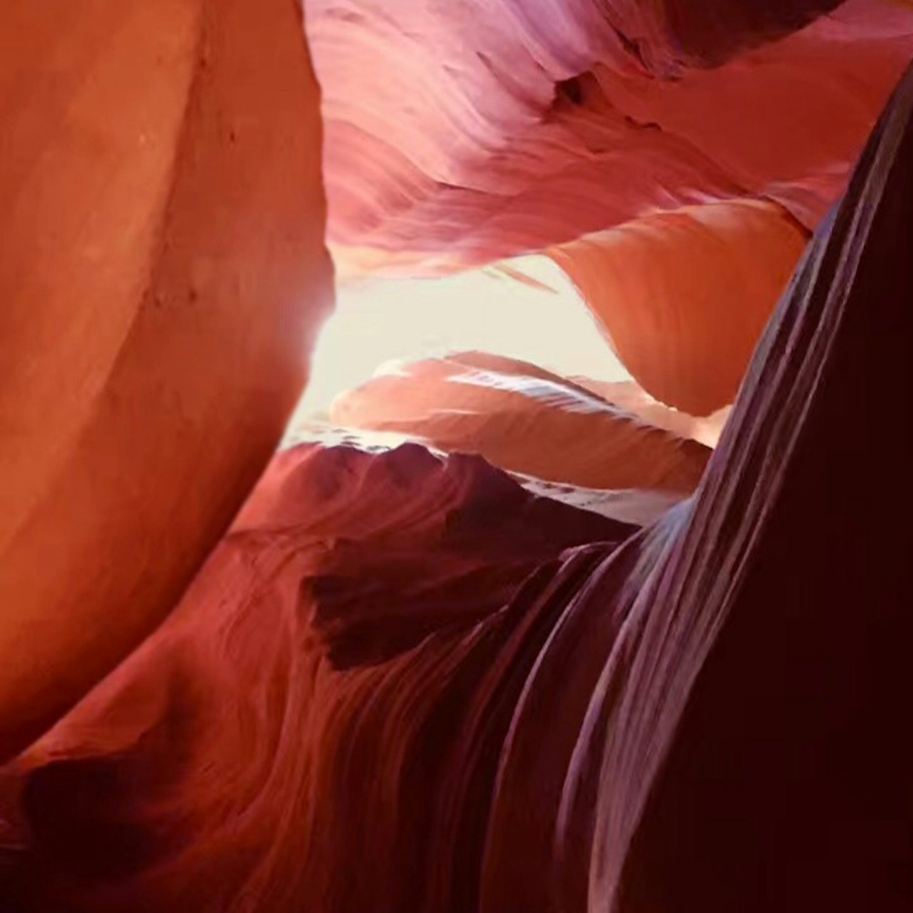Immagine cover di Antelope Canyon X: Tour guidato