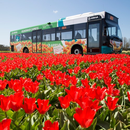 Immagine principale di Amsterdam: Biglietto di viaggio città e regione