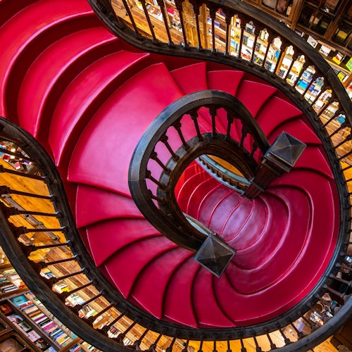 Immagine principale di Livraria Lello e Fundação Livraria Lello: Biglietto d'ingresso