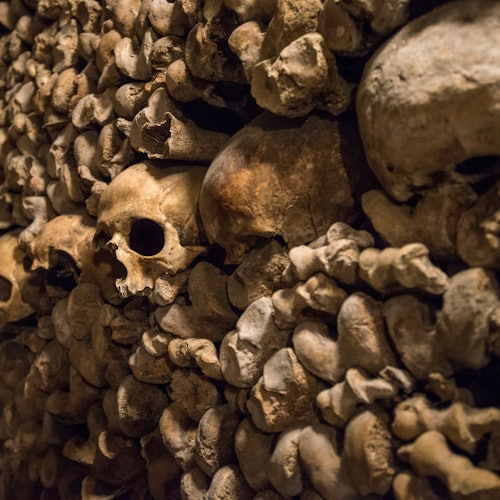 Immagine principale di Catacombe di Parigi: Biglietto d'ingresso + audioguida