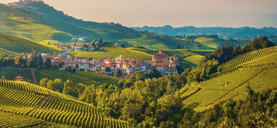 TOUR NELLE LANGHE