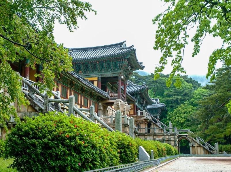 COREA DEL SUD - TERRA DI CONTRASTI