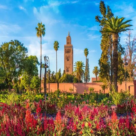 MAROCCO - Deserto e Marrakech