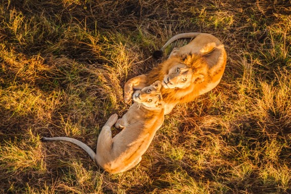 KENYA - SAFARI E MARE