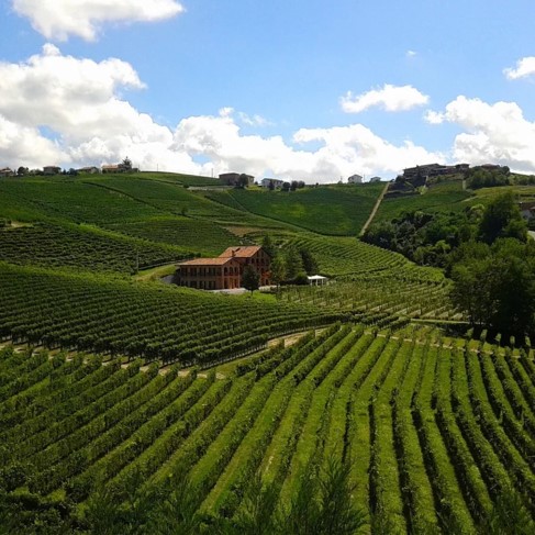 TOUR NELLE LANGHE