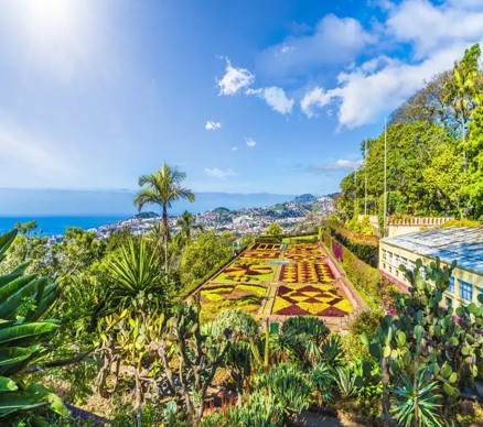 MADEIRA A PASQUA